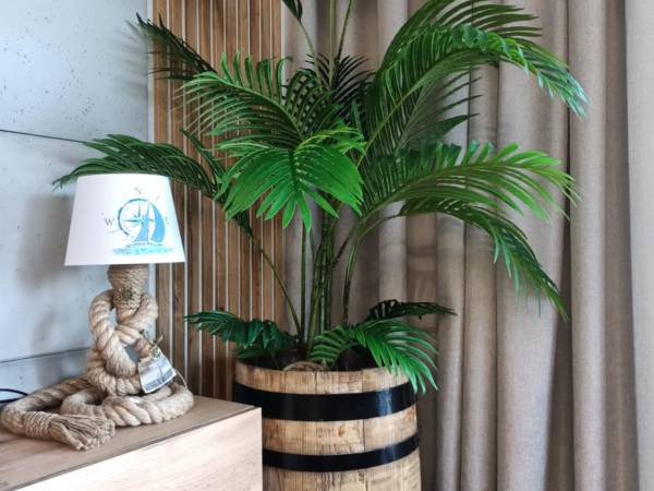 Apartament Concordia 2 z Widokiem