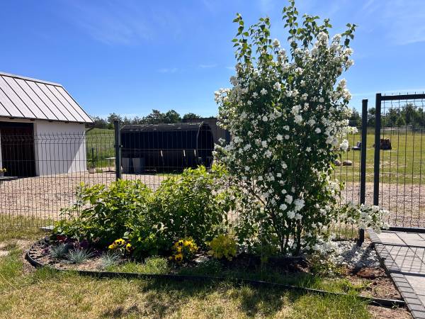Domki na polanie Borzestowska Huta jezioro Raduńskie 