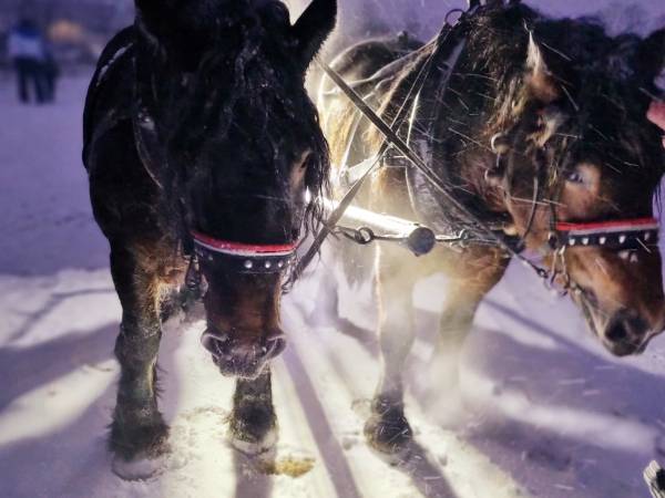 Zacisze w Karkonoszach