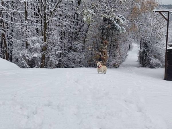 Agroturystyka Zagroda na Groniczku