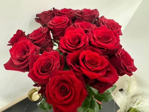 Apartament z jacuzzi na wyłączność Dolina Baryczy Żmigród