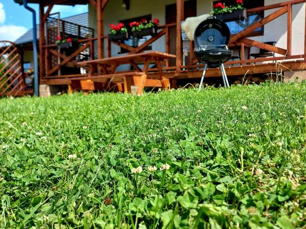 Domki całoroczne "Pod starą podkową"