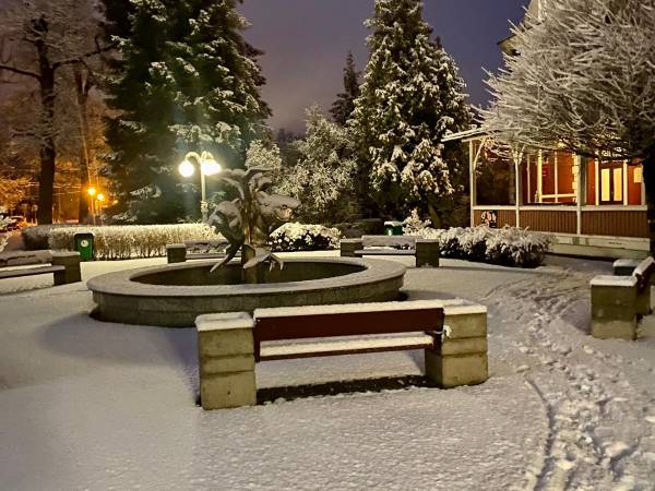 Fontanna Rybki i budynek administracji zimą