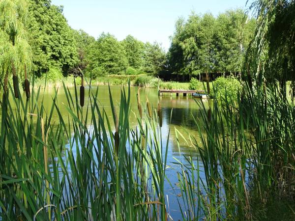 Dębowa Ostoja - domki agroturystyczne nad stawem