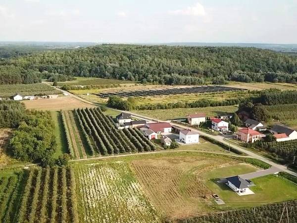 Domek wśród Jabłonek