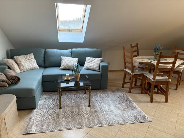 salon z aneksem kuchennym