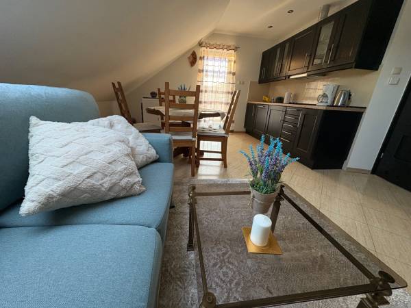 Apartament pod lasem