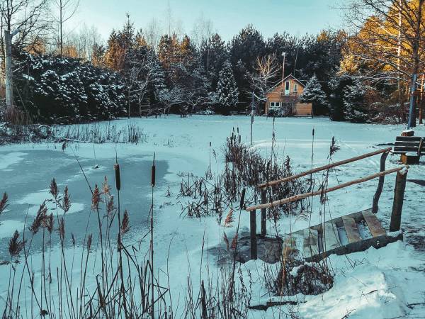 Zejście do stawu przy saunie