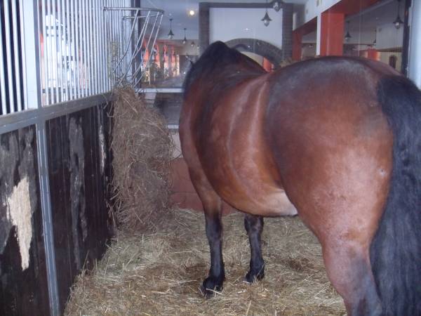 Willa Cyklada Mikołajki