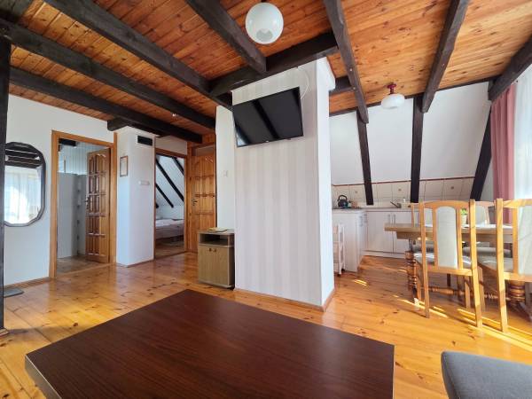 Apartament - salon z aneksem kuchennym