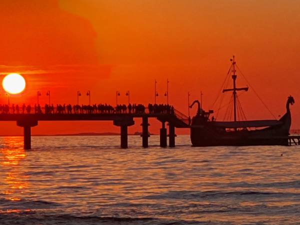 Willa Elefant 350 m do morza!