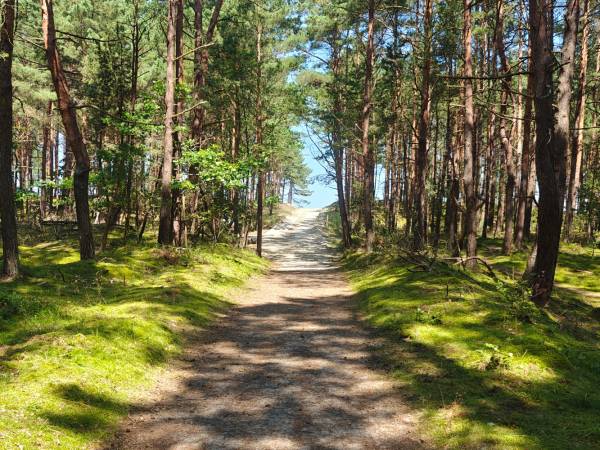 Wejście na plażę w Skowronkach 