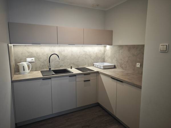 Apartament 12 - kuchnia