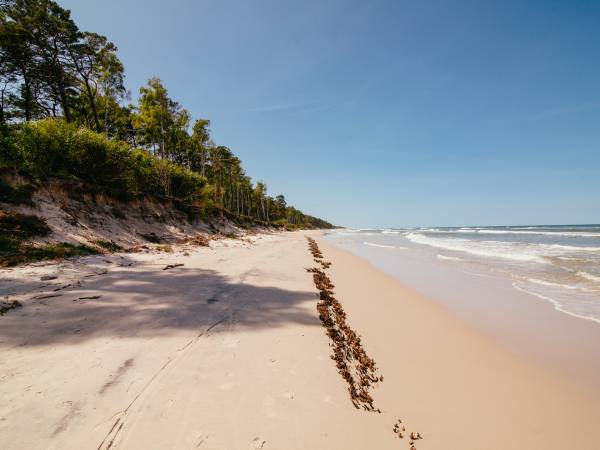 Plaża 