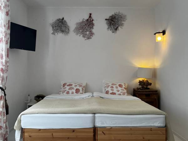 Apartament Koralowy