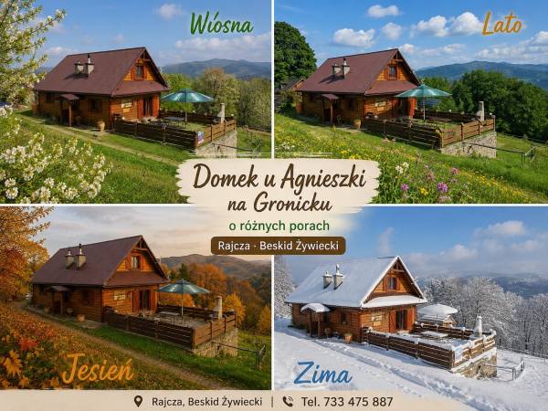 Domek u Agnieszki na Gronicku
