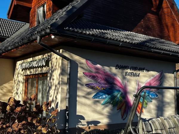 Ścianka Skrzydła do zdjęć