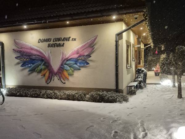 Ścianka Skrzydła do zdjęć