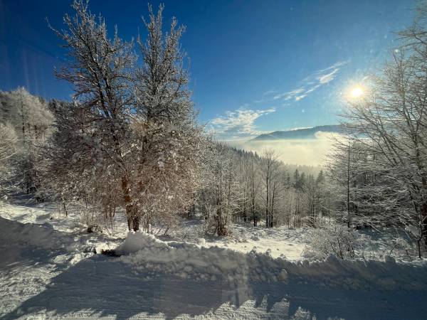 Domek „Bliżej Nieba ” 