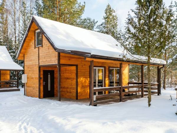 Zagajnik Białowieża