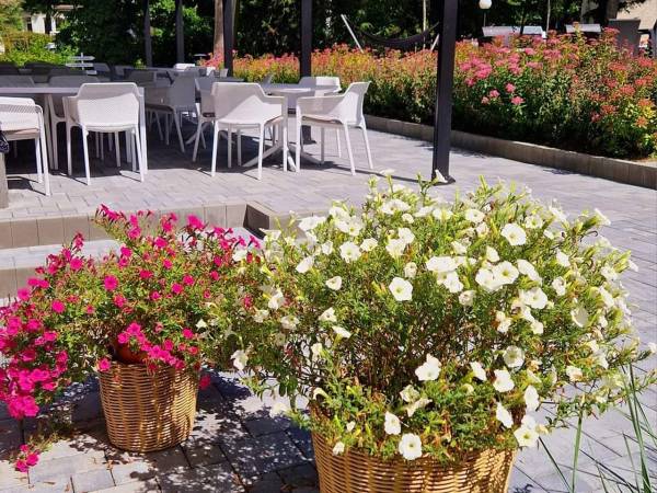 Resort Moderna Jastrzębia Góra