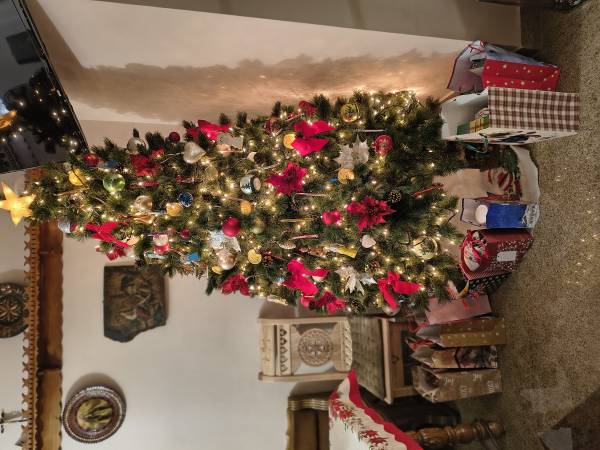 Willa Anna - choinka