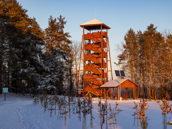 Wieża widokowa w Gnojnie
