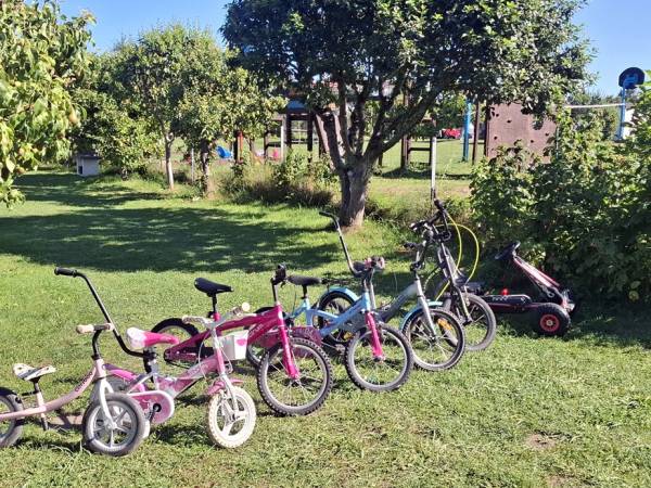 Domki Letniskowe Pod Orzechem