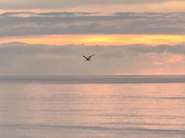 Domki - Apartamenty Nasza Chata 300 m od plaży 