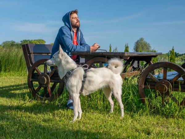 Domki w Strefie Ciszy