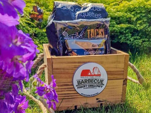 Pakiety grillowe zawierające techniczne wyposażenie grilla