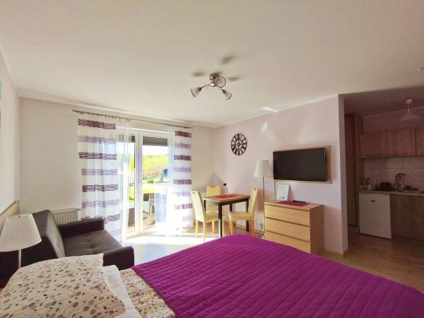 pokój nr 1 z aneksem