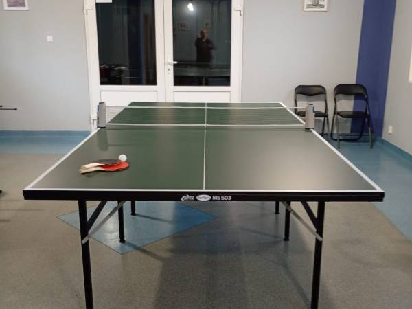 tenis stołowy