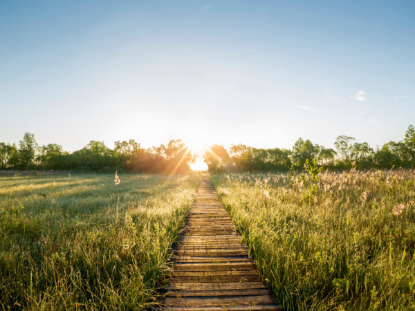 Podlaski Bon Turystyczny 2026 rusza 21 marca. Nawet 400 zł dopłaty do noclegu