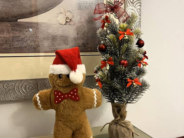 Willa Chcę Tu Zostać 