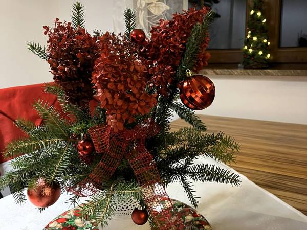 Willa Chcę Tu Zostać 