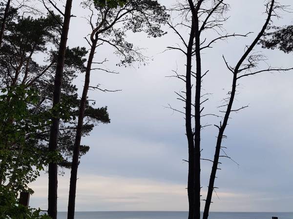 Domki - Apartamenty Nasza Chata 300 m od plaży 