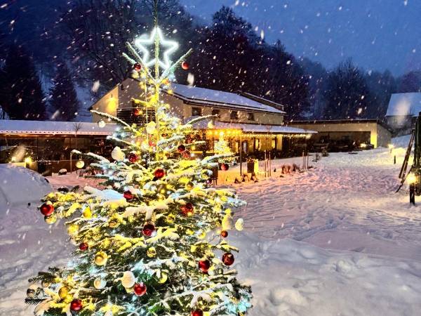 Ładne Miejsce-Apartamenty Konradów