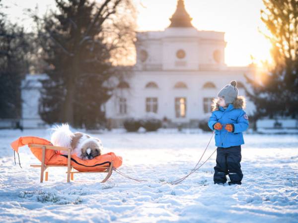 Ferie na specjalnych warunkach. Wąż, przerębel i „pedicure Kopciuszka” 