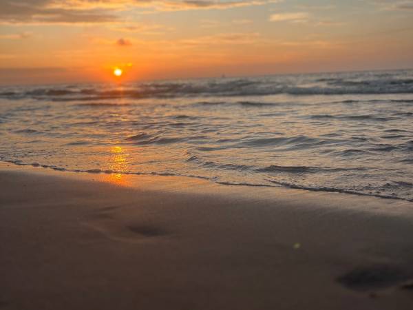 Domki letniskowe West Beach House