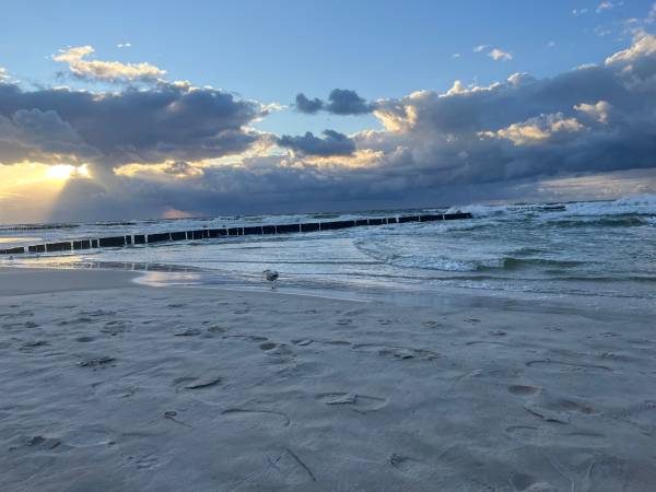 Domki letniskowe West Beach House