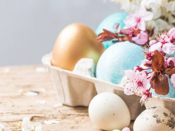 Ośrodek Rehabilitacyjny Leśna Polana