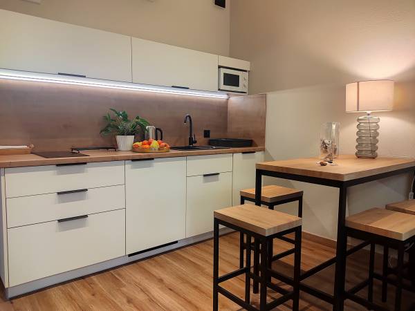 apartament z aneksem kuchennym