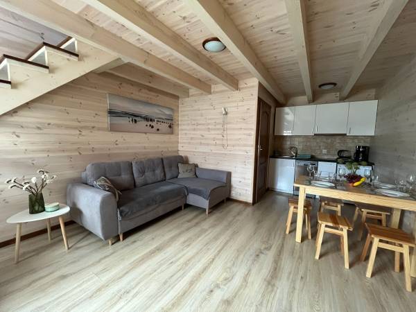 Salon z aneksem kuchennym