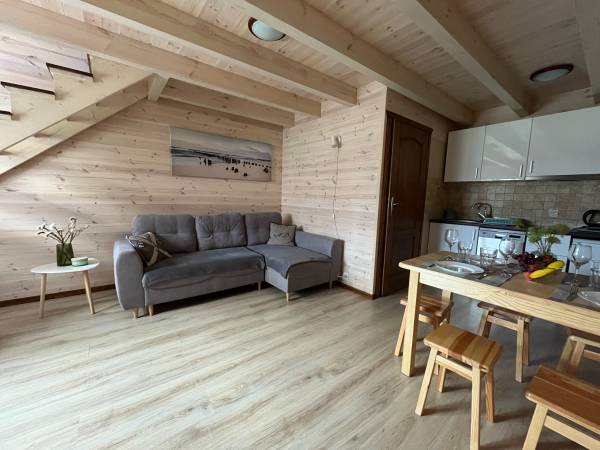 Salon z aneksem kuchennym