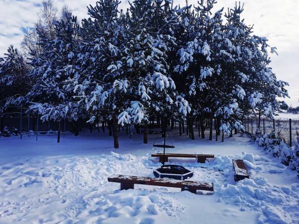 Domek pod Szumiącym Lasem Roztocze