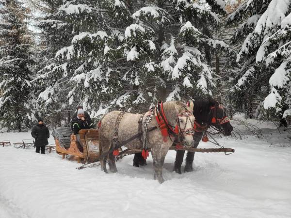 Agroturystyka-Zagroda Studzienno