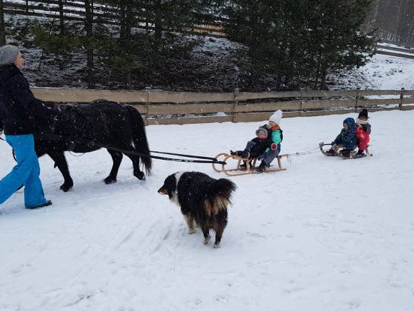 Agroturystyka-Zagroda Studzienno