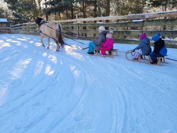 Agroturystyka-Zagroda Studzienno