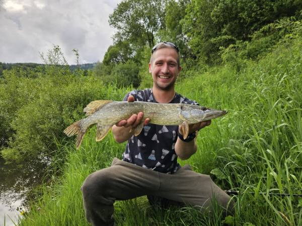 Domki przy lesie 300m od jeziora